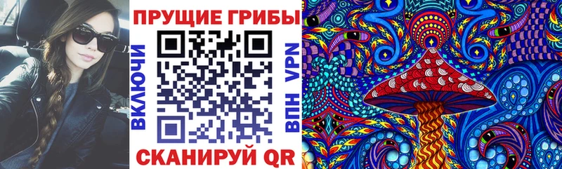 купить закладку  Карабаново  Галлюциногенные грибы Psilocybe 